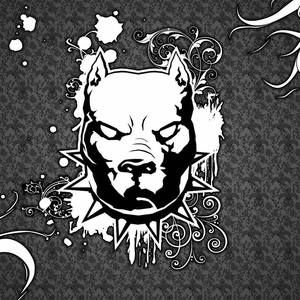 Meet your Posher, Shane